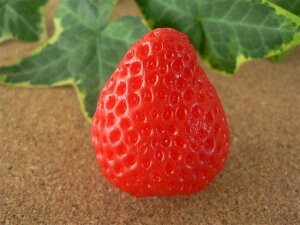 HiTv ObY C`S  4.2cm t[c ʕ 