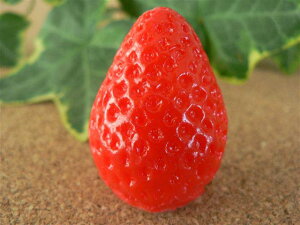 HiTv ObY C`S  3.5cm t[c ʕ 