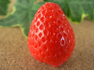 HiTv ObY C`S  3.2cm t[c ʕ 