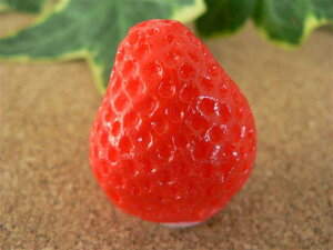 HiTv ObY C`S  3.0cm t[c ʕ 