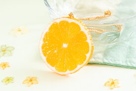 ネックレス・アクセサリー フルーツ・果物 オレンジ　食品サンプル　グッズ　ハンドメイド