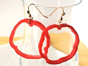 sAX@ANZT[ ԃpvJ @HiTv@ObY@nhCh