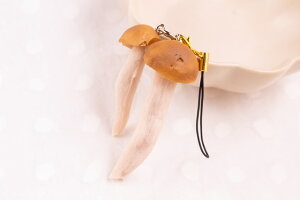 XgbvigуXgbvj߂ @HiTv ObY@nhCh