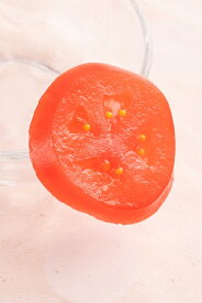 コンセントキャップ トマトスライス　食品サンプル グッズ　ハンドメイド