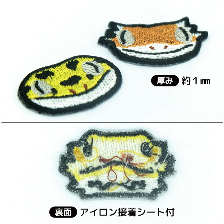 楽天市場】【レオパ（イエロー）】 レオパードゲッコー ヒョウモン 