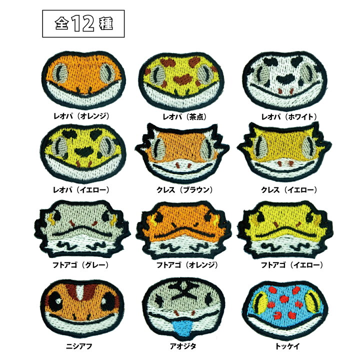 楽天市場】【レオパ（イエロー）】 レオパードゲッコー ヒョウモン 