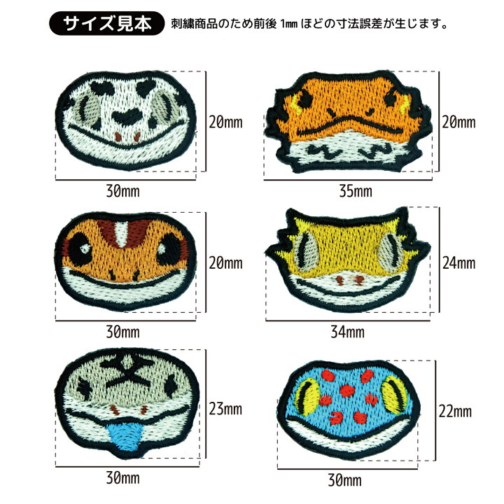楽天市場】【レオパ（イエロー）】 レオパードゲッコー ヒョウモン 