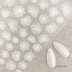 lCV[ nhCh ؍ W lC V[ l l킢 i uC_  EFfBO jAX Vv ^  t[ Vv XebJ[ \邾 ȒP 