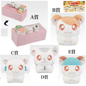 y\񏤕i 2025N11\ z Ԃ ƂƂ nY n ƂƂ oȂ̂ A B C D E 5Zbg