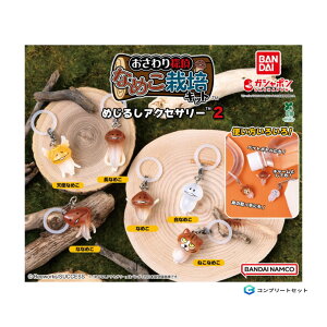 y\񏤕i 2025N12\ z Ȃ߂ ͔| Lbg ߂邵 ANZT[ 2 S6Zbg RvZbg JvZ͕tĂ܂