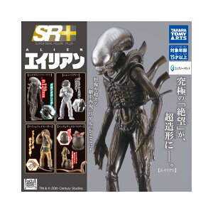 y\񏤕i 2025N12\ z SR+ 20I X^WI GCA S5Zbg RvZbg JvZ͕tĂ܂