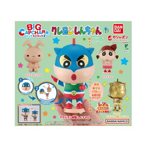 y\񏤕i 2025N11\ z N 񂿂 BIG JvL 2 S4Zbg RvZbg JvZ͕tĂ܂