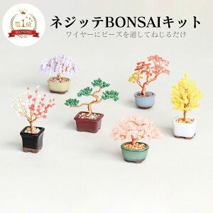 lWbeBONSAILbg r[Y Lbg r[Y~ Lbg C[ ȒP l a { lG JAPAN CeA |Cg ANZT[ 킢 |Lbg nhCh ̂Â v[