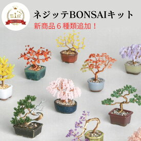 ネジッテBONSAIキット ビーズ キット ビーズ盆栽 キット ワイヤー 簡単 大人 和 日本 四季 JAPAN インテリア ワンポイント アクセサリー かわいい 手芸キット ハンドメイド ものづくり プレゼント お土産 オリジナル miyuki クラフト ミニチュア デコレーション ギフト 春 桜