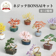 ネジッテBONSAIキット ビーズ キット ビーズ盆栽 キット ワイヤー 簡単 大人 和 日本 四季 JAPAN インテ…