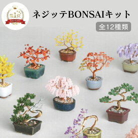 ネジッテBONSAIキット ビーズ キット ビーズ盆栽 キット ワイヤー 簡単 大人 和 日本 四季 JAPAN インテリア ワンポイント アクセサリー 手芸キット ハンドメイド ものづくり プレゼント お土産 オリジナル miyuki クラフト ミニチュア デコレーション ギフト 夏休み 工作