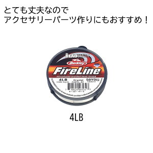 t@C[C NX^ 4LB 6LB 45m 50[h crystal zCg white r[YX~X The BEADSMITH Fireline ϋv x v r[Y r[Y ANZT[ r[YXeb` r[YXeb` r[Y