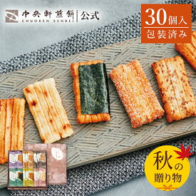 中央軒煎餅 いねの音色 30個 詰め合わせ おかき あられ せんべい ご挨拶 お礼 秋ギフト おすすめ お供え 敬老の日 お歳暮 和菓子 お彼岸 法事 法要 帰省 手土産 お持たせ おもたせ 個包装 包装済み 送料無料 最強配送 お菓子