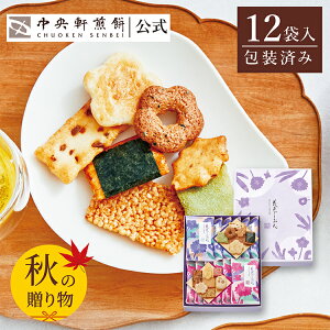 中央軒煎餅 花色しおん 12袋 詰め合わせ おかき あられ せんべい ご挨拶 お礼 ギフト おすすめ お供え お中元 お歳暮 和菓子 お彼岸 法事 法要 帰省 手土産 お持たせ おもたせ 個包装 包装済み
