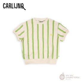 【CarlijnQ】Stripes green - sweater short sleeve
