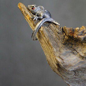 リング カメレオン レディース メンズ 指輪 蜥蜴 爬虫類 ユニセックス ヴィンテージ シルバー きもかわ 赤目 とかげ 個性的