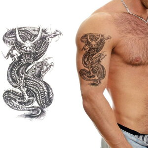 ^gD[V[ fJ[ hS   A  DRAGON n h {fBA[g ^gD[ V[ 唻 a B h I}Pt