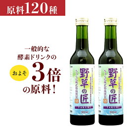 初めての方限定　1世帯1回限り　酵素ドリンク 野草の匠（やそうのたくみ）お試しボトル2本セット 甕（かめ）　仕込野草120種類 300ml 国産　お肌　毎日の疲れ対策　無理なく続けられる酵素ドリンク　無添加