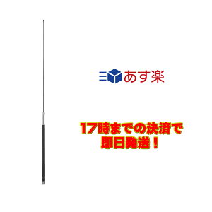 HF30FX �_�C�������h 10MHz�уR���p�N�g���\�����[�r���A���e�i�i2�i�f�B�X�g���r���[�e�b�h�����̗p�j