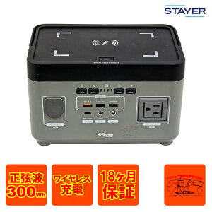 ST-POBTTY-300W-GL STAYER CX[d |[^ud g 300W AC100V{dliO[j