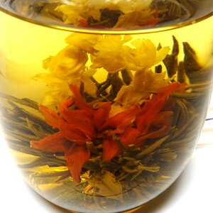 H| 痢 ( Ԃ炭 WX~ 仉 S ؗX )