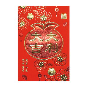 ԃ|`܁ug嗘 ݂v5 ig/zpI/ۂ/jylR|XΉz