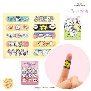  Jnp e oh 50   l ܂Ƃߔ Zbg ʂ { K` { DVD `R K`K` ؍ 5fUC BOX  Aj Chikawa