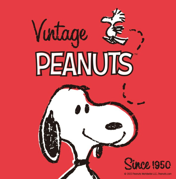 楽天市場 Peanuts スヌーピー Airpods3 Pro ケース Snoopy 公式 グッズ 人気 キャラクター イヤホン オシャレ 可愛い 人気 イラスト 耐衝撃 スヌーピー エアーポッズプロ ケース Snoopy 無料配送 ワイヤレス 充電 アクセサリー エアーポッズ3 ケース チャーリー