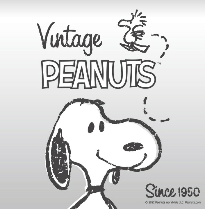 楽天市場 Peanuts 公式 スヌーピー Galaxy Z Filp3 5g ケース ギャラクシー 透明 クリア グッズ スヌーピー ストラップ イラスト キャラクター グッズ 新作 通販 画像 映画 アニメ Snoopy アンドロイド Au ドコモ ソフトバンク カラー ハードケース カートゥーン 絵本 名言