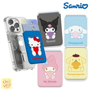 Sanrio サンリオ マックセーフ カードホルダー カード収納 スマホ キャラクター グッズ キティ シナモロール クロミ ハンギョドン 可愛い サイフ Card Pocket ピューロランド 韓国 人気 アイテム