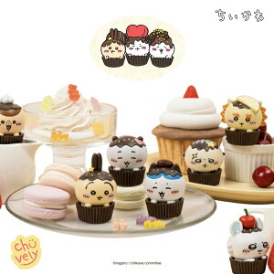  `RJbvP[L j^[ tBMA J[pi fXNeA S14 1BOX 15 ʂ ObY LN^[ ؍  n`  }XRbg 3M e[v RpNg 