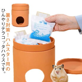 テラコッタハウス 冷却ハウス 小動物 ハムスター 熱中症対策 涼感 小屋 小型 冷房 ひんやりハウス 陶器 夏 ハムスター 冷却 夏 暑さ対策 涼感 ハムスター ハムスター 家 隠れ家 小動物夏用品 ハムスター ハリネズミ ハウス
