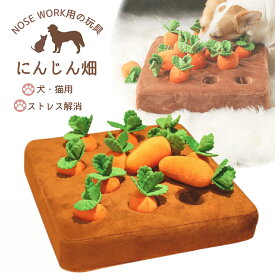 1位受賞 ノーズワーク にんじん 犬のおもちゃ ペット にんじん 畑 人参 ペット用品 犬 にんじん畑 ノーズワークマット 訓練 用品 嗅覚 トレーニング 犬 知育玩具 知育