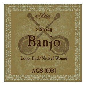 ARIA AGS-100BJ Banjo �o���W���[��
