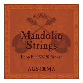 ARIA AGS-100MA Mandolin マンドリン弦