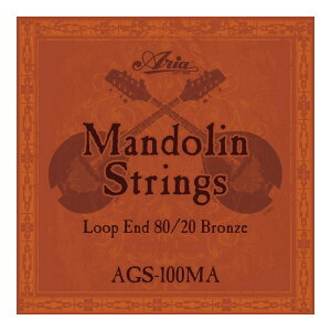 ARIA AGS-100MA Mandolin �}���h������