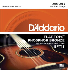 __I D'Addario EFT13 Resophonic Guitar AR[XeBbNM^[