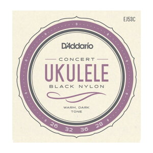 __I D'Addario EJ53C Pro-Arte Rectified Ukulele Concert RT[gEN