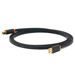 NEO by OYAIDE Elec d+ USB class A rev2 2.0m USBP[u