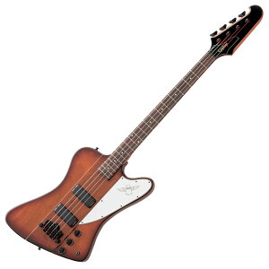 GstH Epiphone Thunderbird E1 VS GLx[X