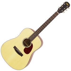 ARIA Aria-111 Dreadnought MTN AR[XeBbNM^[