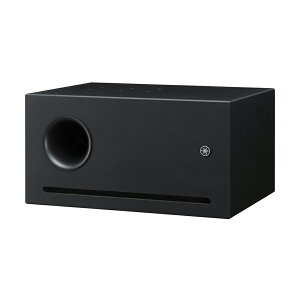 }n YAMAHA VXS10S TuE[t@[