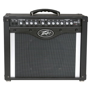 PEAVEY Envoy 110 40W R{Av yKiz