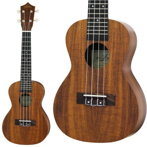 ARIA ACU-1K RT[gEN