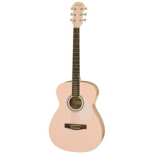 LEGEND FG-15 Pastel KWPK AR[XeBbNM^[